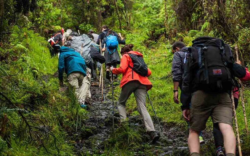 các tour du lịch thú vị