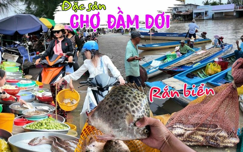 Chợ Đầm Dơi