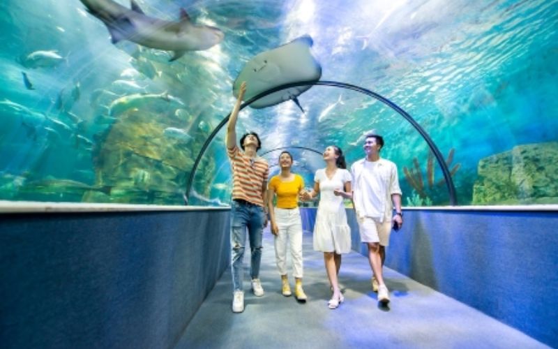 Thủy cung Vinpearl Aquarium