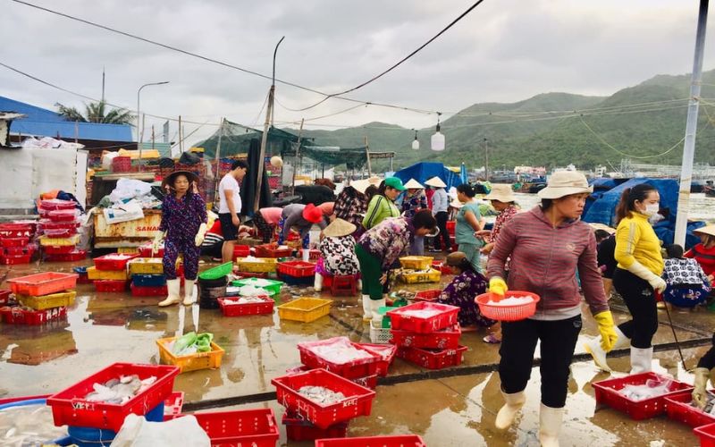 cảng cá hòn rớ nha trang