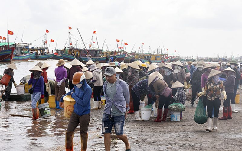 chợ cá hải sản giao hải nam định