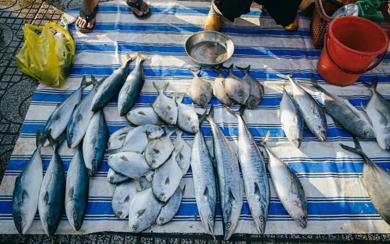 lưu ý khi mua sắm tại chợ hải sản Hà Tiên