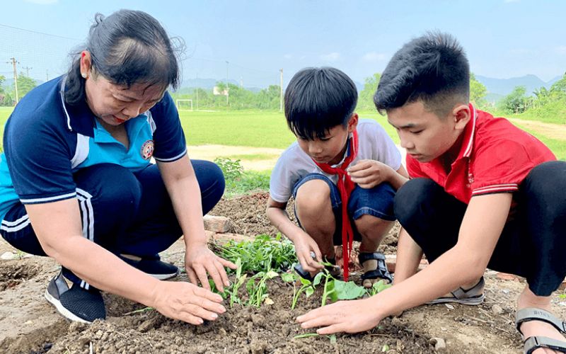 Phí hoạt động ngoại khóa